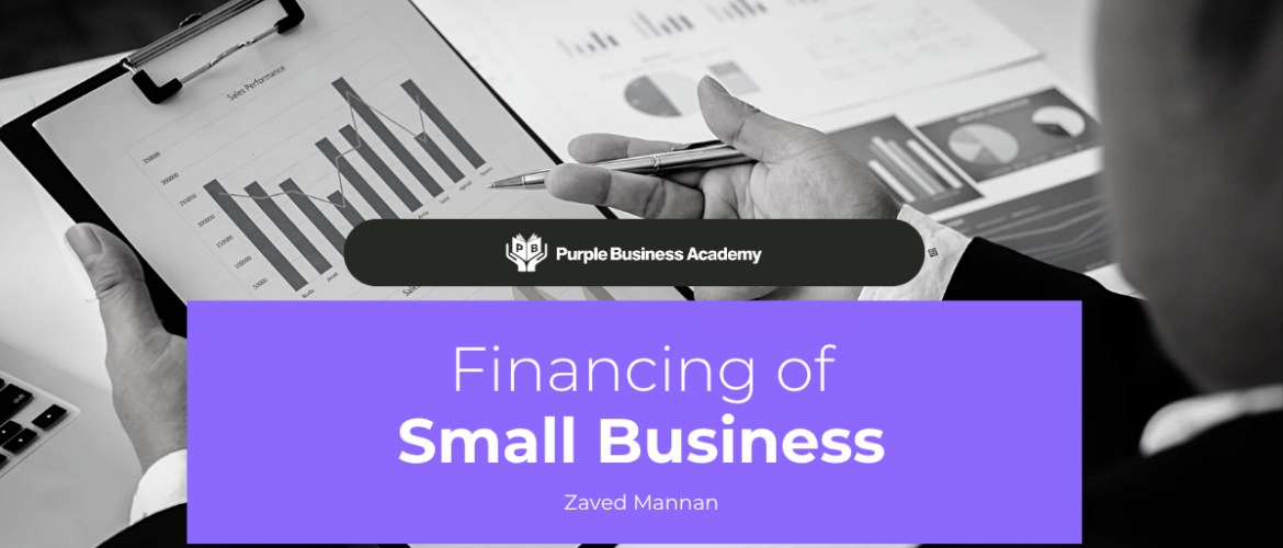 Financing of Small Business